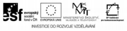 Evropský sociální fond v ČR