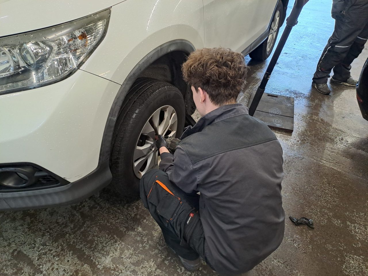 STABLES CAR SERVICE BURROW 4 - Střípky z Erasmu - Dublin